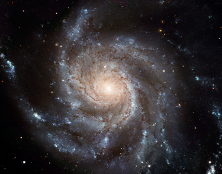 M101 Group.png